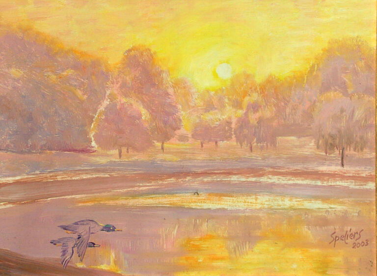 Parc de Woluwe doré