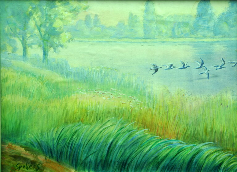 Envol au Parc